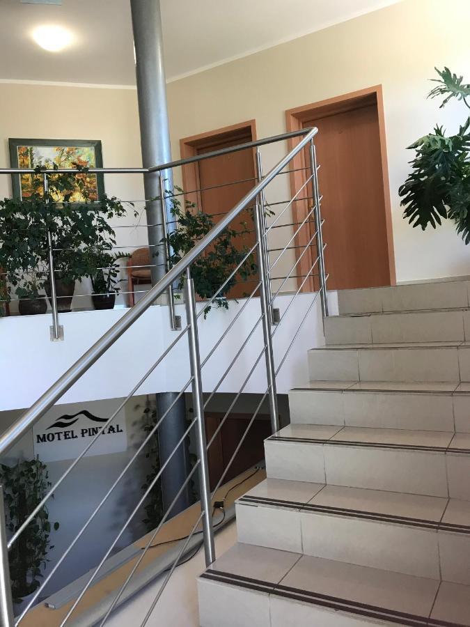 Motel Pintal Gorzów Wielkopolski Kültér fotó